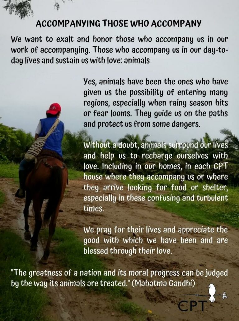 A CPTer with a blue vest and red hat is seen from the back, riding a mule on a muddy path, with palm trees in the distance