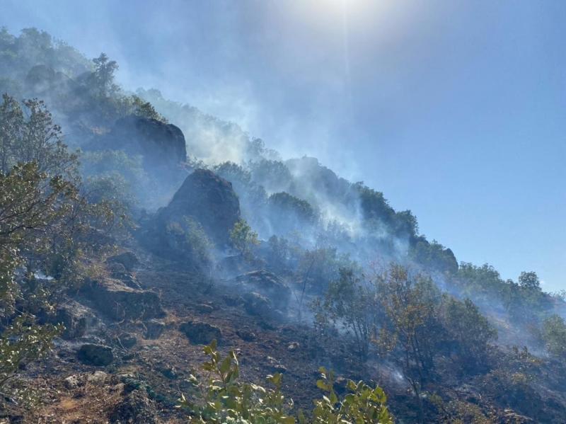 La ladera de una colina en Hirure el 27 de julio de 2021, todavía ardiendo con los incendios provocados por los bombardeos militares turcos. Crédito de la foto: Ayad Hrure