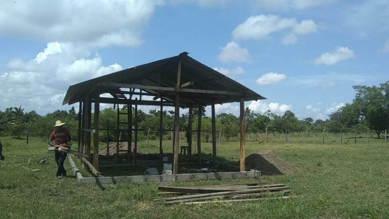 The wooden frame of a house stands in the middle of a field of grass. There is an aluminum roof. The sky is blue and a person stands next to the house carrying wooden beams.