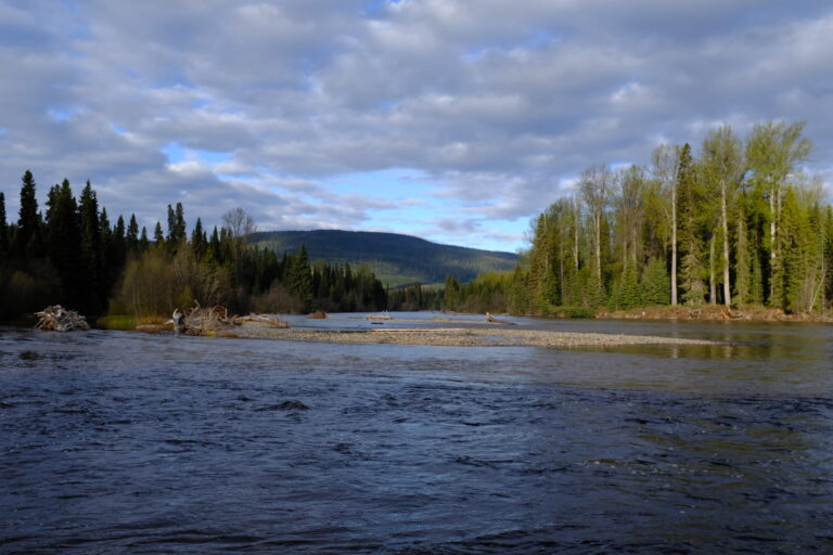 una imagen del río sagrado Wedzin Kwa, azul profundo con un espeso bosque verde a ambos lados y montañas visibles en la distancia.