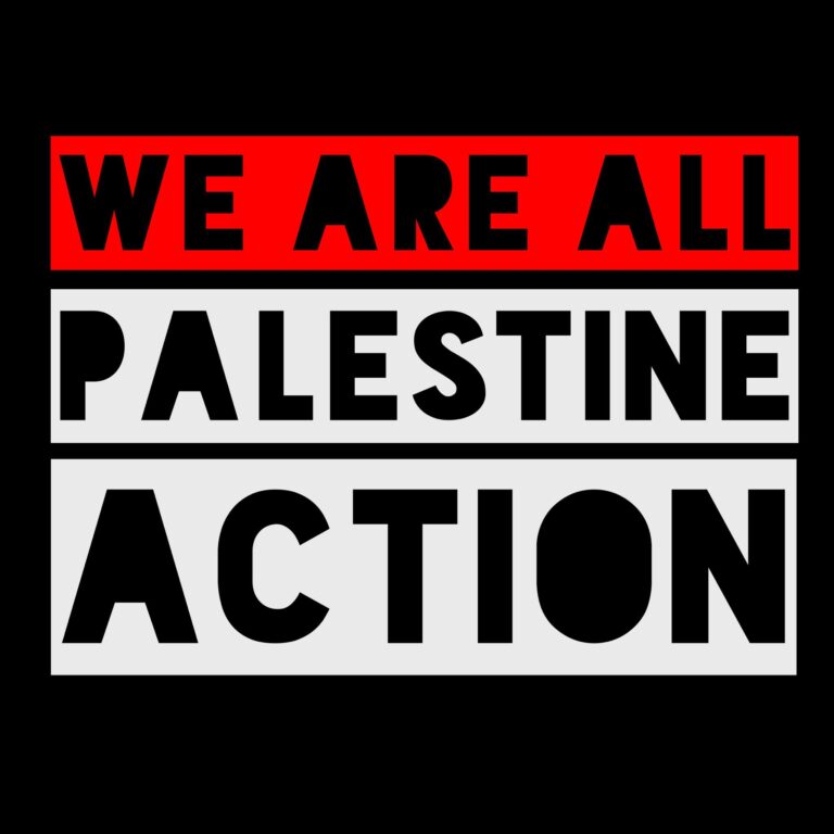 we are all palestine action