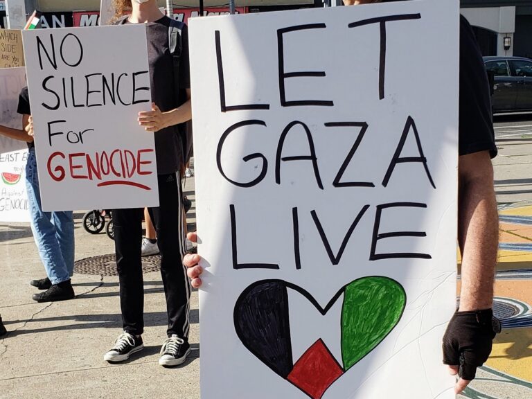 Palestine-solidarity banners at a protest