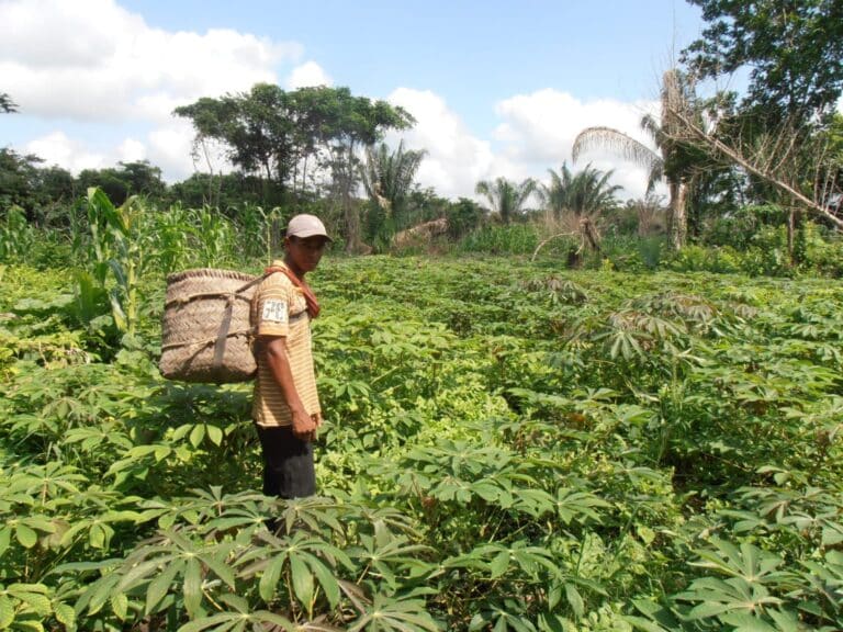 A worker standing in a field