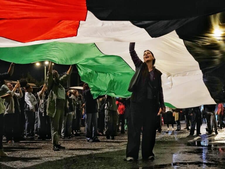 A woman stands under a Palestinian flag