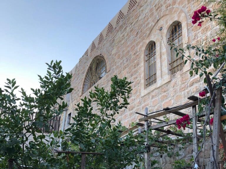 A garden and a wall