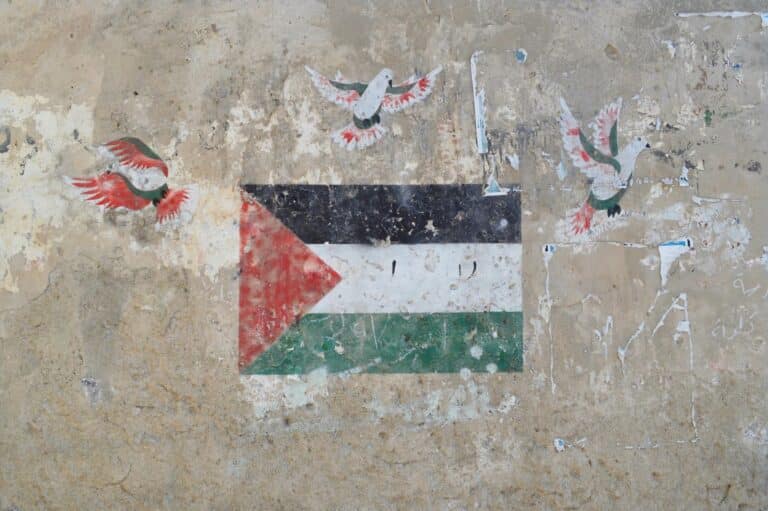 A wall with the palestine flag and peace doves of the same colour