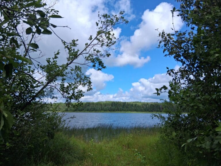 A river and its banks