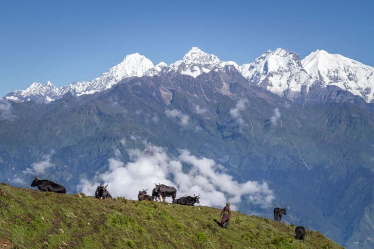 langtang himalayas from rasuwa, nepal