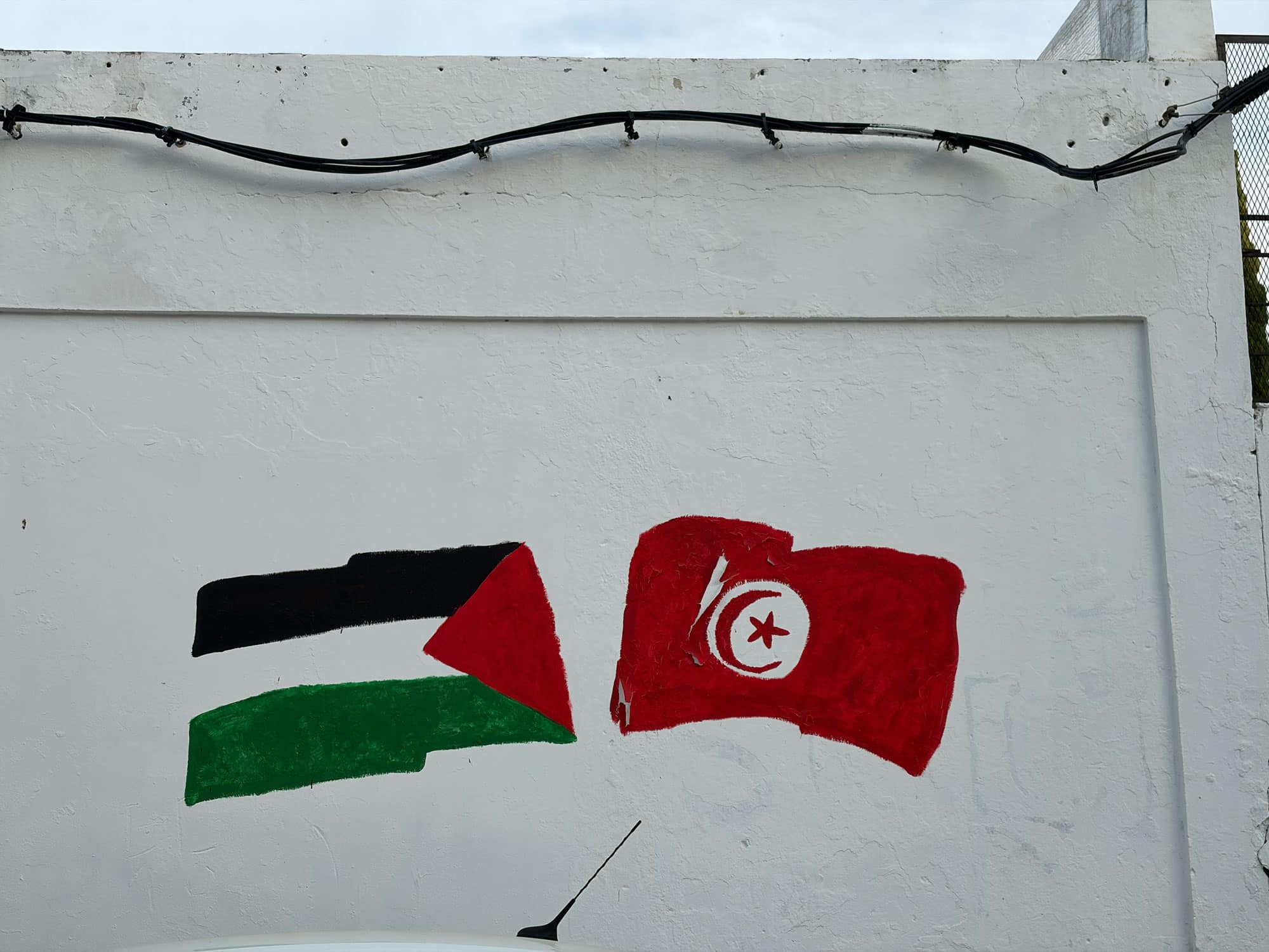 palestine and tunisia flag painted on wall