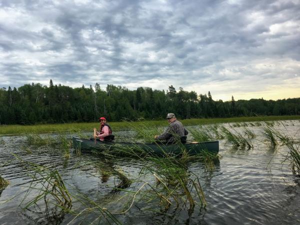 wild rice harvest_0.JPG